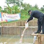 Bupati Tangerang Tebar 3 Ribu Benih Ikan Nila dan 1 Ton Benih Lele di Kronjo