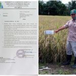 Camat Teluk Dalam Tegaskan Seluruh Kepala Desa Harus Turun Bersawah