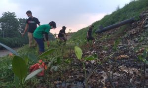 AMPHIBI Lakukan Penanaman Mangrove Lanjutkan Bersama Komunitas di TPA Bantargebang