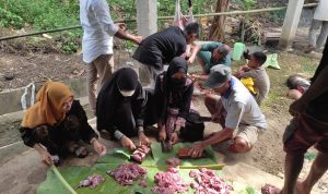 Yayasan Rumah Peduli Indonesia Gelar Bagi Daging Kurban Bersama Remaja Masjid Ar-Rahman Kaledupa Wakatobi