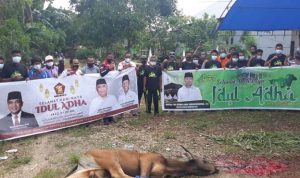 DPC Partai Gerinda Butur Bersama Relawan ASR Bagi Daging Kurban di Empat Kelurahan