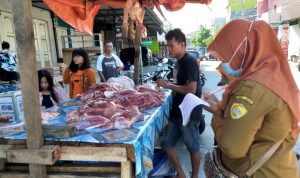 Hewan Qurban di Baubau Aman Dari Penyakit