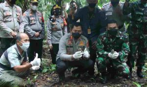 Kapolda Sulut Lepasliarkan Anak Burung Maleo di TN Bogani Nani Wartabone