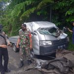 Pohon Tumbang, Babinsa Koramil 1302-17/Motoling Bantu Evakuasi Korban