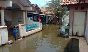 3 Bulan Terendam Banjir, Ternyata Tidak Ada Jalan Air di Desa Tanjung Pasir