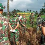 Desa Babakan Rampungkan Jalan Usaha Tani