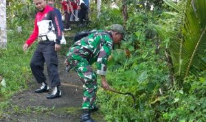 Koramil 1619-02/Selemadeg Bersama Forkopimcam Seltim Laksanakan Karya bhakti 