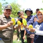 Kunker ke Blora, Ini Pesan Dirjen Holtikultura RI Terkait Pengembangan Tanaman Buah