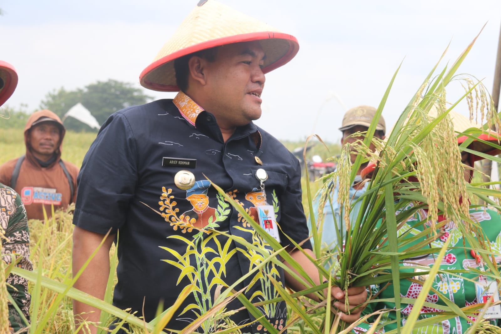 Panen Raya Padi Varietas Baru Bupati Blora Berikan Apresiasi Kepada