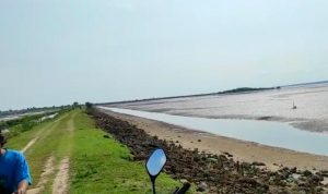 Mencuat Polemik Lahan Tambak di Gersik Putih, PH Pemilik Lahan Siap Hadapi Proses Hukum