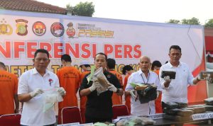 Polres Metro Tangerang Kota Gagalkan Pengiriman 35 kg Ganja