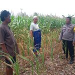 Musim Kemarau, Bhabinkamtibmas Polsek Jawilan Polres Serang Bripka Yoyon Sambang Petani di Desa Binaan, Ini Pesannya