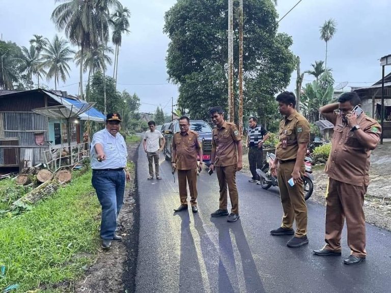 Didampingi Kadis PUPR El Abdes Marsyam Bupati Suhatri Bur Tinjau Pengerjaan Jalan Lingkar di Korong Pasar Sungai Geringging