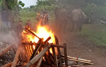 Penegakan Hukum Terhadap Aktivitas Perjudian Sabung Ayam di Mojokerto